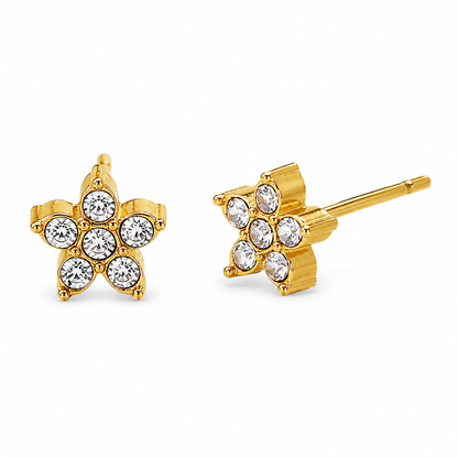 Boucles d’Oreilles Maëvane
